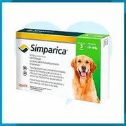 Simpática para todos los pesos - Img 54186097