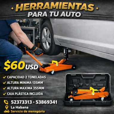Gato de patin - 2/2