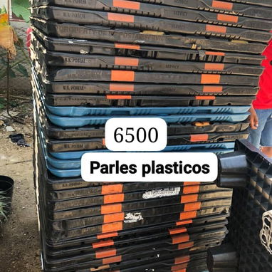 Parles plasticos - 2/2