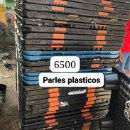 Parles - Img 57523890