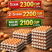 Huevos x cantidad - Img 55915360