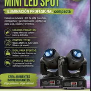🚨🚨Cabezas móviles🚨 🚨 - Img 57447635