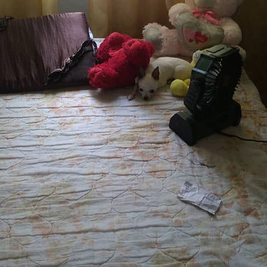 Se vende Casa con piscina en el cotorro - 6/10