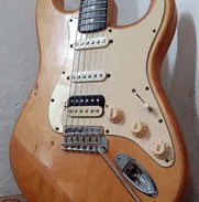Guitarra Eléctrica Fender Mexican Standard Strat HSS, Relic Finish 2000-2001 - Img 48012635
