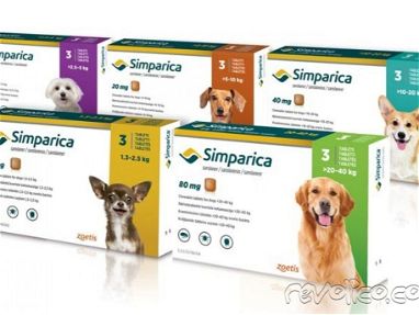 Medicamentos para perros - Img 67172765
