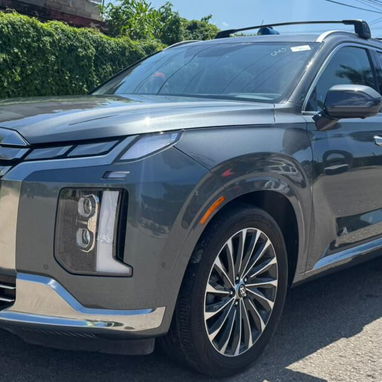 Hyundai Palisade 2024 calligraphi - Img 106076779