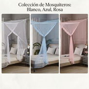 Mosquiteros - Img 54849419