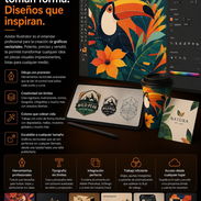 **Adobe Illustrator** - Img 55882537