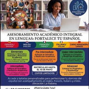 Español: habilidades académicas y profesionales. - Img 55050103