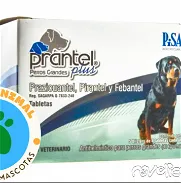 PRANTEL PLUS 40 KG - Img 45850508
