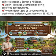 Oferta de empleo - Img 56463713