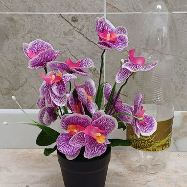 🧧Maceta con orquídeas💫 📏30cm /12 usd🧧 - 4/4