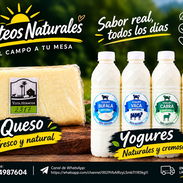 🧀 LACTEOS FRESCO 🐄 - Img 57547832