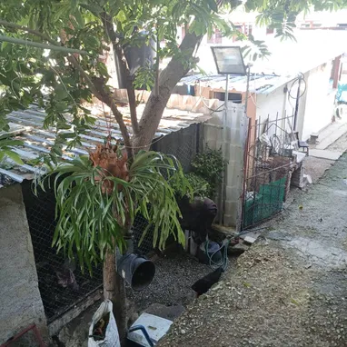 Venta de casa de 5 habitaciones en Guanabacoa y un carro todo por 25000 usd - Img 123485407