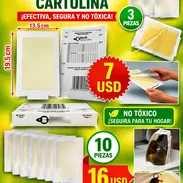 Trampas para Ratones - Img 46863091