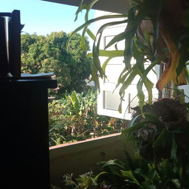 Vendo apartamento en san Agustín - 3/10