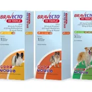 Bravecto 1M triple - Img 55162324