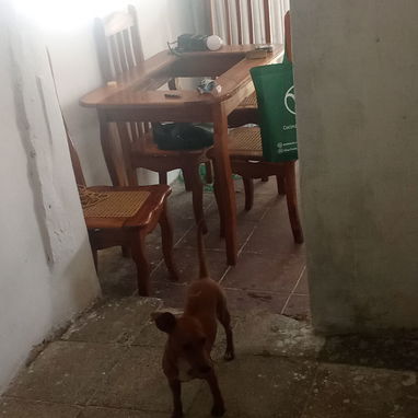 Casa - 5/10