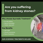 Ayuvedic Kidney stone remedy - Img 57196613