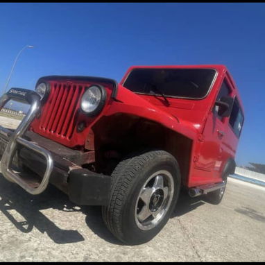 Jeep Willy techo duro - 3/3