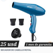 Secadora de pelo Royal - Img 55955999