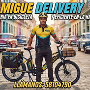MENSAJERÍA DISPONIBLE, GRACIAS DE ANTEMANO - Img 56393479