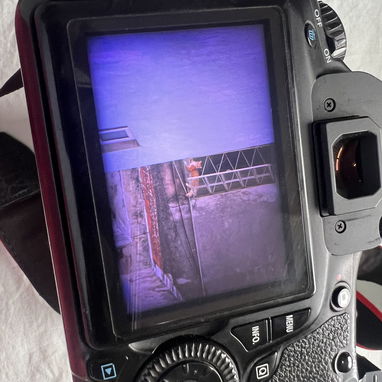 Canon EOS 60D - 5/5