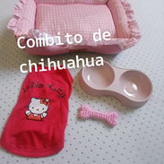 20000 CUP. COMBO DE CHIHUAHUA APURATE 1 QUEDA 🐶🐶🐶 - Img 58219953