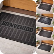 Alfombra para puerta 4000 cup - Img 55050495