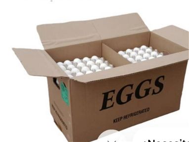 Huevos blancos recién importados - Img main-image