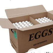 Huevos blancos recién importados - Img 45409530