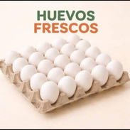 Huevos Frescos - Img 58177728