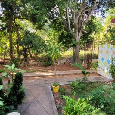 Llamar al 55432935 Casa en el reparto Siboney que necesita reparaciones.es serca del cimex Tiene paredes de mamposter - Img 125852380