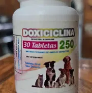 Doxiciclina de 250mg para perros - Img 50206581