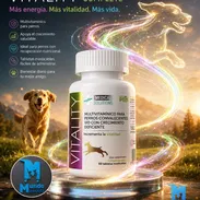 Multivitaminas Vitality para perros - Img 50351760