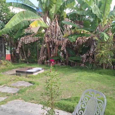 🏠 SE VENDE CASA INDEPENDIENTE EN VÍBORA PARK, ARROYO NARANJO — LA HABANA  Se vende casa independiente, recién remodelad - 8/10