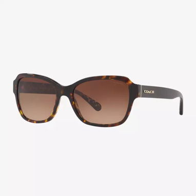 GAFAS - Img 126103274