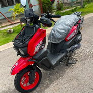 Moto - Img 56558080