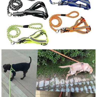 Pecheras arreos y correas para perros - Img 113978672
