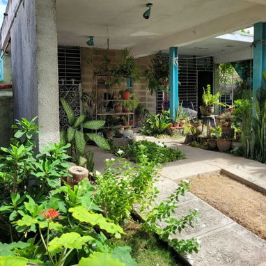 Venta de casa en Reparto Víbora Park - 6/6