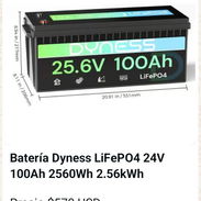 Batería Dyness LiFePO4 24 V_ 100 Ah_ 2560 Wh_ 2.57 KWh - Img 58060250