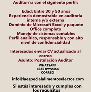 Buscamos Auditor - Img 50586633