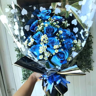 Flores - 5/10