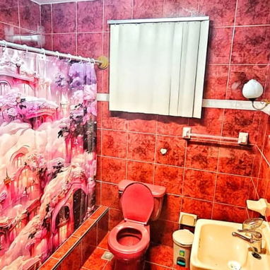 Casa de Renta en Sta fe - 9/10