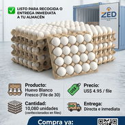 🥚Huevos blancos venta mayorista💵 - Img 57485338