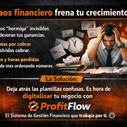 Sistema de Gestión Financiera - ProfitFlow - Img 56227398