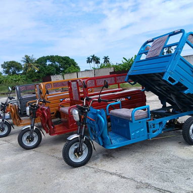 Venta de triciclos eléctrico - 6/8