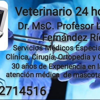 Veterinario - Img 126783829