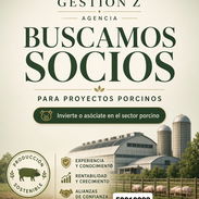 Socio Porcino‼️‼️ - Img 57294218