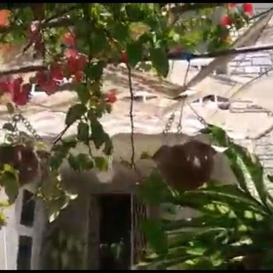 🪼 CASA EN MIRAMAR | FRENTE AL MAR | RENTA LINEAL EN LA HABANA 🏡🌊✨ - Img 123411037